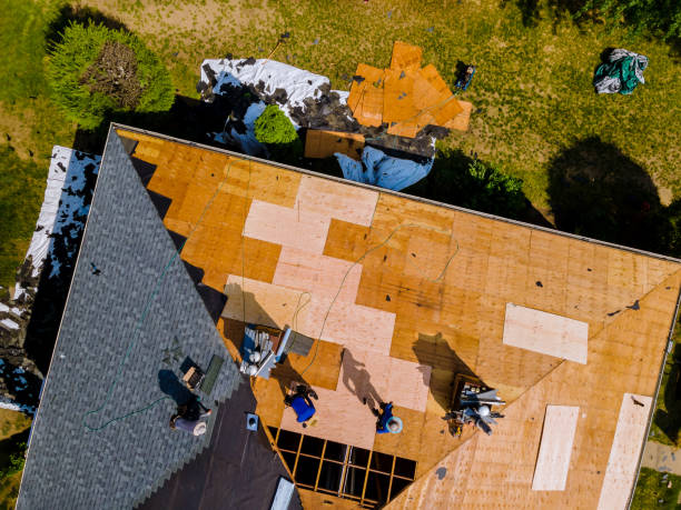 Quick and Trustworthy Emergency Roof Repair Services in South Willard, UT